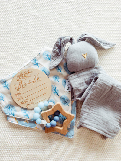 newborn gift set, baby bunny comforter