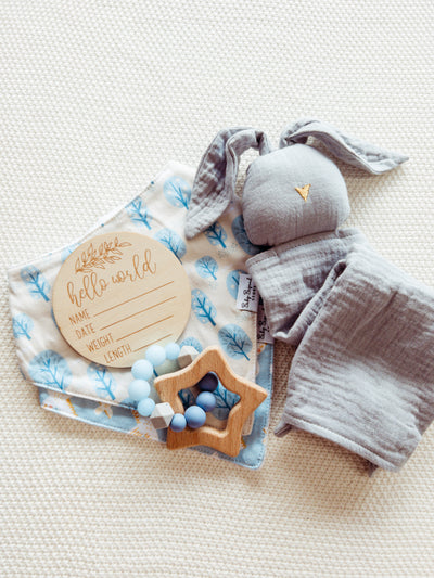 Newborn Gift Set - Blue Sky