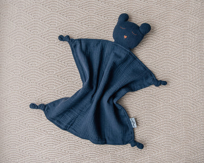 Newborn Gift Set - Sleepy Bear