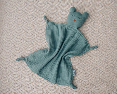 Newborn Gift Set - Cuddly Bear
